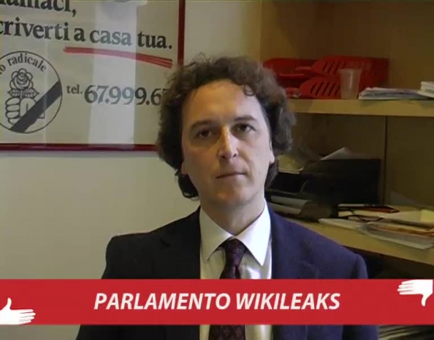 parlamento-wikileaks