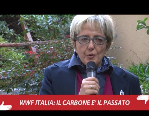 wwf-italia-il-carbone-e-il-passato