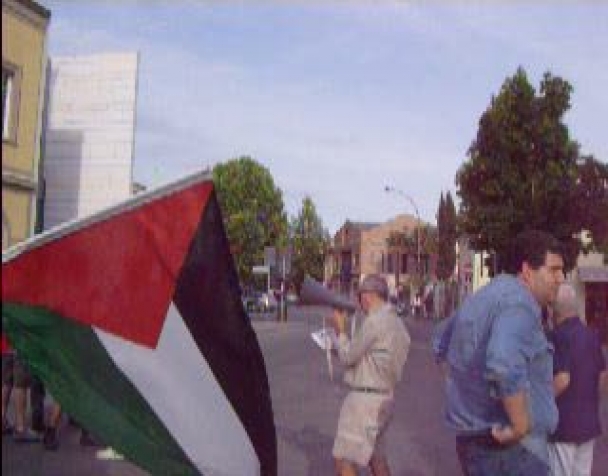 manifestazione-pro-palestina-contro-lassalto-a-flottilla