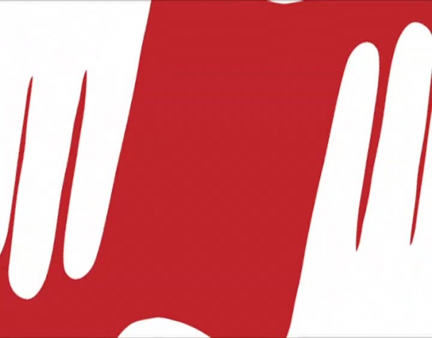 la-federazione-della-sinistra-al-corteo-cgil
