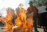 bolivia-proteste-a-la-paz-bruciate-bandiere-della-ue-e-francia