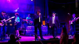 i-blues-brothers-a-cerro-maggiore-italy-2-of-2