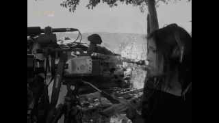 las-mujeres-rebeldes-trailer