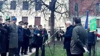 memoria-brescia-commemorazione-del-deportato