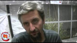 spazi-sociali-intervista-ad-ascanio-celestini