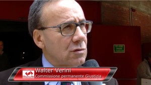 Walter Verini