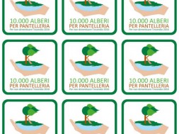 10.000 alberi per pantelleria