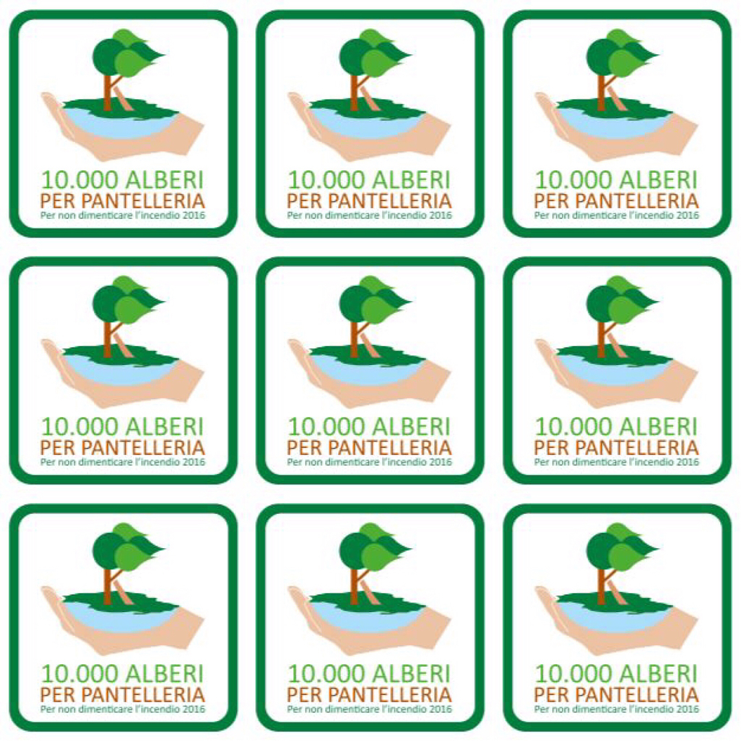 10.000 Alberi per Pantelleria, un crowdfunding per riforestare l’isola