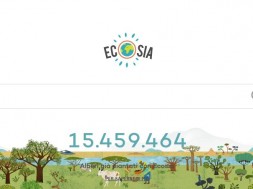 Ecosia ricerca