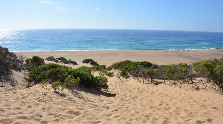 PISCINAS – UN PARADISO IN PERICOLO : Serve l’immediata bonifica dell’area