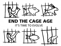 logo end of cage