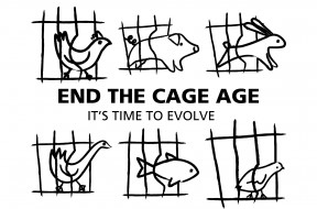 logo end of cage