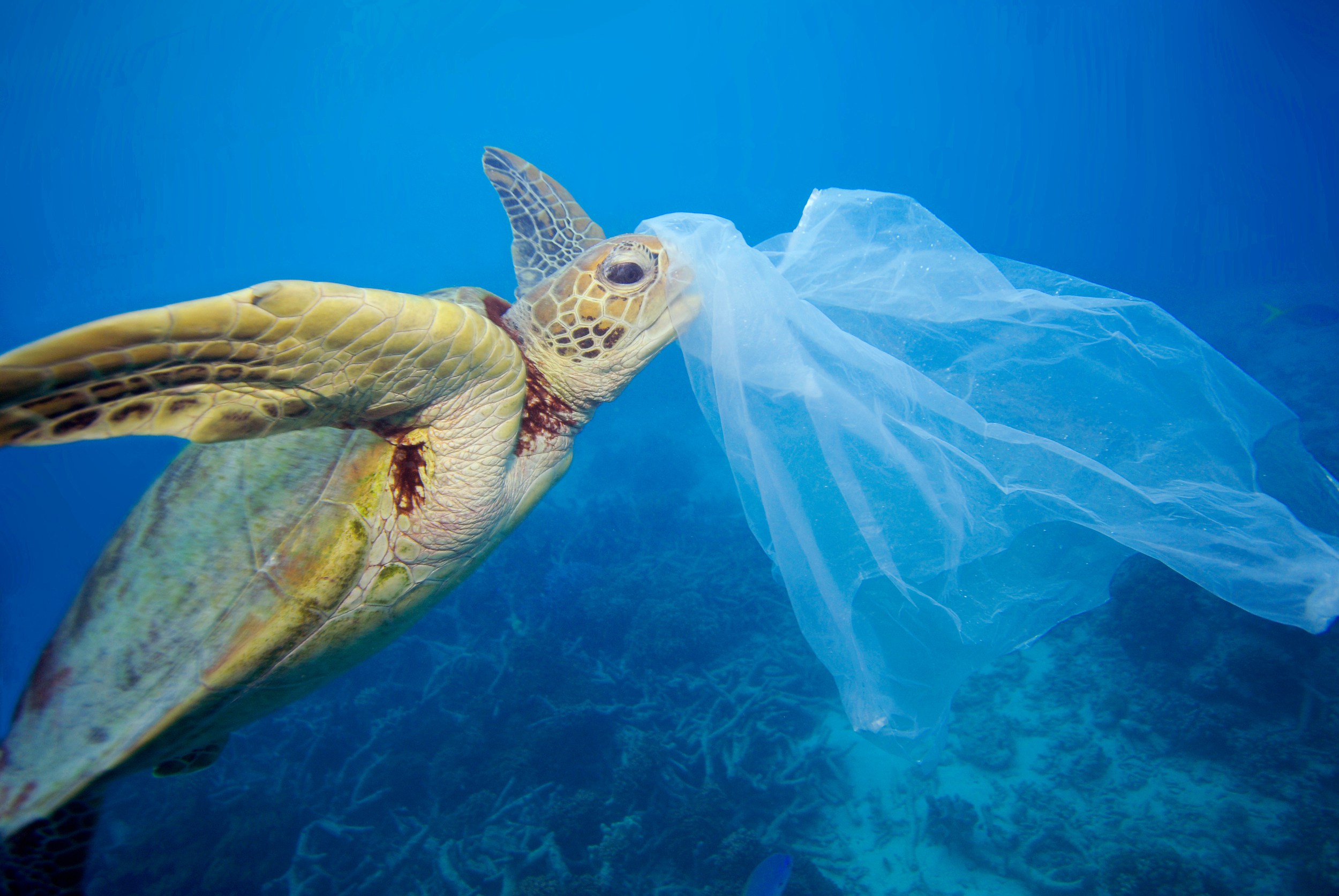 AMBIENTE: Dal 1 Settembre Lampedusa diventa Plastic Free